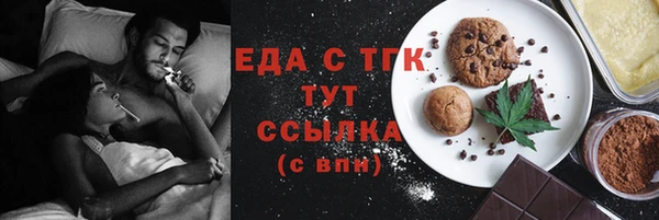 индика Покачи