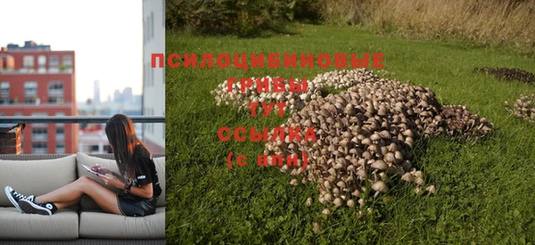 твердый Покров