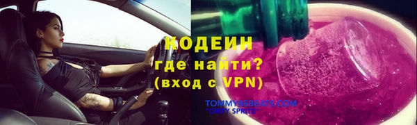 индика Покачи