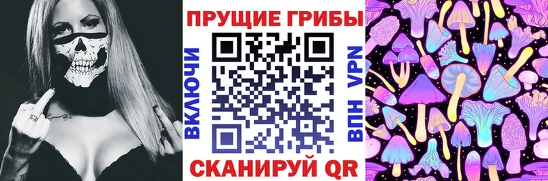 где продают   Тольятти  Псилоцибиновые грибы ЛСД 