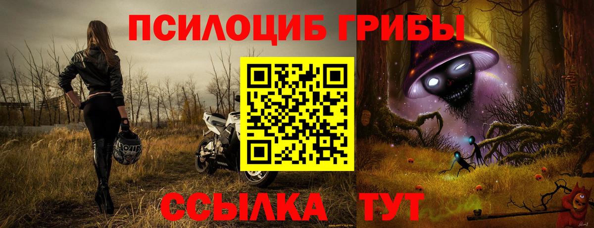 Галлюциногенные грибы MAGIC MUSHROOMS  Псилоцибиновые грибы Magic Shrooms  Вход с VPN  Тольятти 