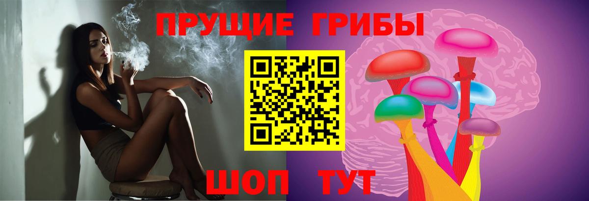 Псилоцибиновые грибы прущие грибы Тольятти